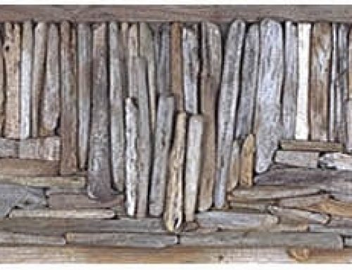 Driftwood Assemblage # 12