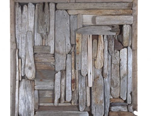 Driftwood Assemblage # 11