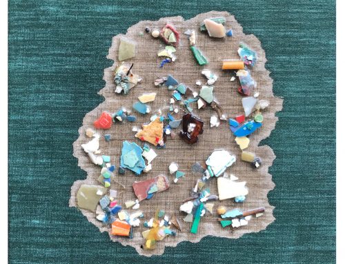 Pacific Garbage Patch Study #10