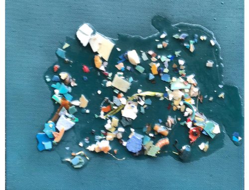 Pacific Garbage Patch Study #13