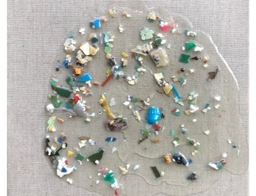 Pacific Garbage Patch Study #1