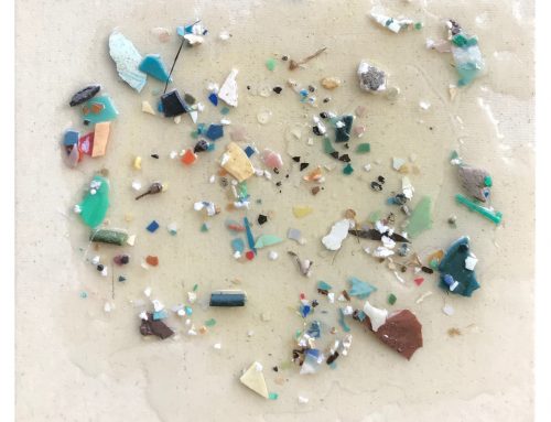 Pacific Garbage Patch Study #2