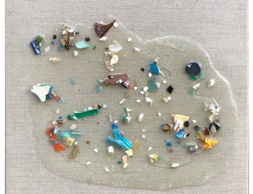 Pacific Garbage Patch Study #3