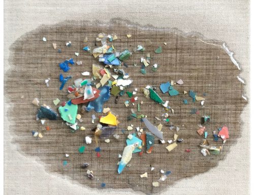 Pacific Garbage Patch Study #4
