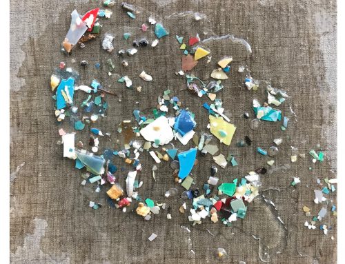 Pacific Garbage Patch Study #5