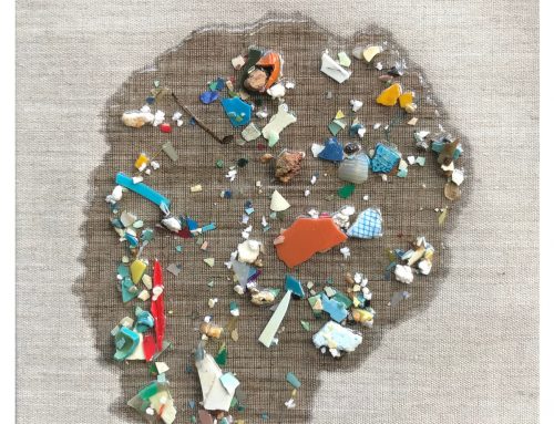 Pacific Garbage Patch Study #6